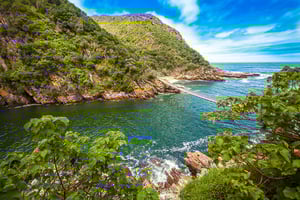 Tsitsikamma: Zipline & Storms River Mouth -yksityiskierros