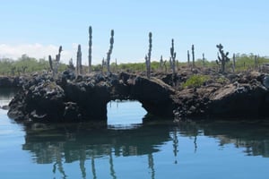 Giro delle isole Galapagos di 5 giorni - Santa Cruz e Isabela