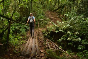 Archidona: Amazon All Included 4d/3n