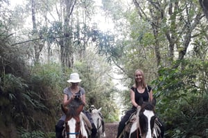 Баньос: 2 часа верховой езды с видом на Тунгурахуа