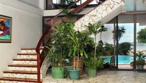 Casa Grande Boutique Hotel