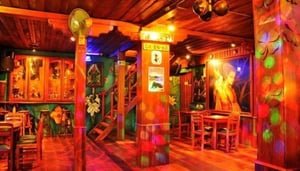 Disco Bar Leprechaun