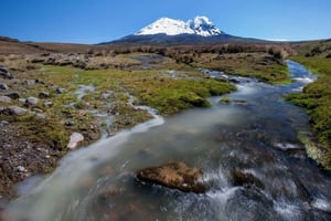 Ecuador: fugletur og kulturtur fra Quito