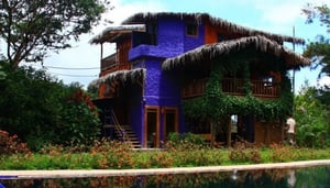 El Abrazo del Árbol