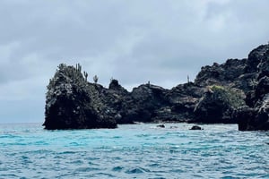 From Pto Ayora: Day tour to Floreana & Cormorant Point