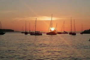 From Puerto Ayora: Isabela Island & Tintorera Islet Day Tour