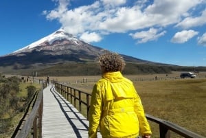 De Quito: Excursão de 1 dia ao Parque Nacional Cotopaxi com caminhada