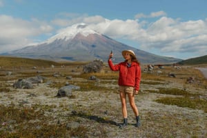 A partir de Quito: Tour particular ao Cotopaxi com caminhada e almoço
