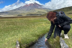 Da Quito: Tour del vulcano Cotopaxi