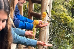 Quitosta: Mindon pilvimetsäkierros koko päivä