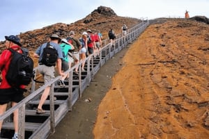 Koko päivä Bartolome Island & Sullivan Bayn saarella