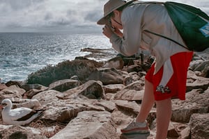 Koko päivän Seymourin pohjoissaari & Las Bachas (Las Bachas)