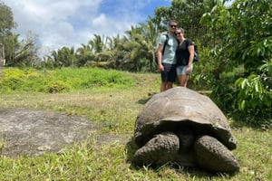 Galápagos: passeio pelas tartarugas gigantes, túneis de lava e crateras