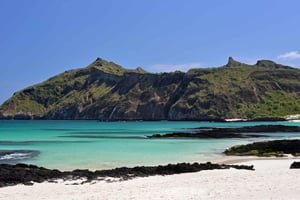 Galápagos: Isla Plazas Full-Day Tour