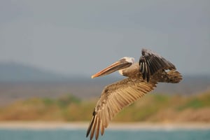 Galapagos land tour 3 eilanden (5 dagen)