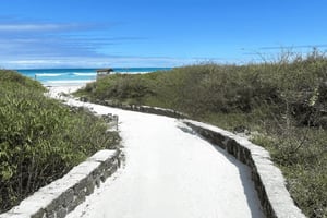 Galápagos - Santa Cruz: Tortuga Bay Guided Tour