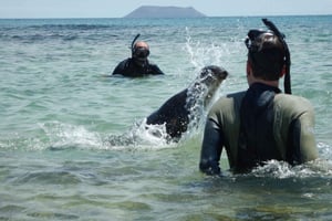 Galápagos: Excursão pelas ilhas 7 dias - 6 noites