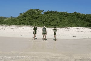 Jättesköldpaddor, lavatunnlar och Tortuga Bay Beach dagstur