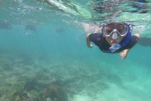 Halvdagstur till Tintoreras från Isabela Island