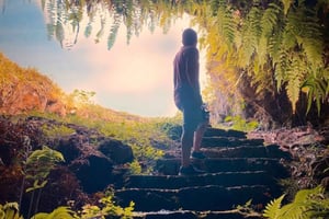 Isola di Isabela: tour di Campo Duro, grotte di Sucre e punto panoramico