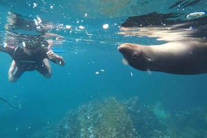 Kicker rock full day