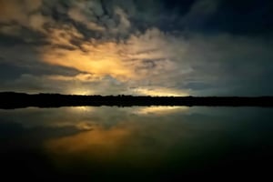 Limoncocha 1-daagse Eco-Tour: vogels kijken en kanoën in de Amazone