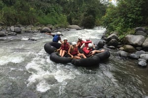 Från Quito: Mindo Cloud Forest dagsutflykt med transfer