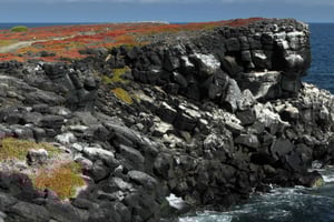 Puerto Ayora: South Plazas ja Punta Carrionin luonnonvarainen matkapäivä