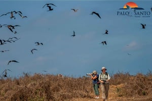 Puerto Lopez: Isla de la Plata: The Magic of the Mini Galapagos Waiting for You