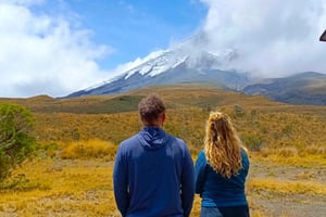 Quito: Cotopaxi National Park and Quilotoa Day Trip