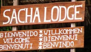 Sacha Lodge