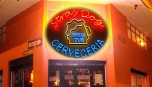 Stray Dog Brewpub