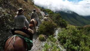 The Green Horse Ranch