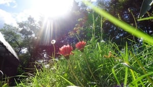 Zooloja Parque Orillas del Zamora