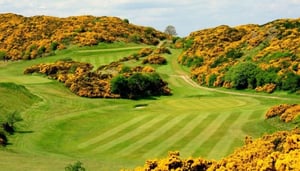 The Wonderful World of Golf