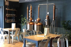 Edinburgh: Gin-tur og smagning – South Loch Distillery