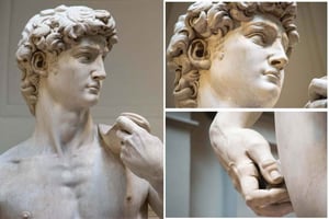 Ticket de entrada preferente a la Galería de la Academia con libro electrónico