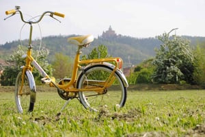 Bologne : visite panoramique à vélo