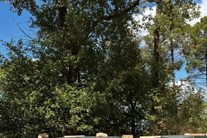 Chianti: Farm-to-Table Cooking Class with Wine Tasting