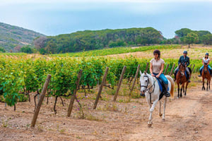 Exclusive Horseback Riding & Wine Tasting from Florence