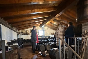 Musée Ferrari, fromage parmesan, visite culinaire du vinaigre balsamique