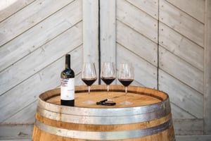 Florence Bites | Cooking Class | Wine Tasting at Villa Gallorosso