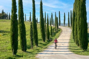 Florence: Chianti E-Bike Tour with Lunch & Two Wine Tastings
