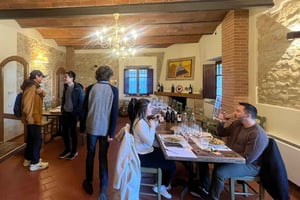 Флоренция: винный тур по Кьянти с обедом и дегустацией