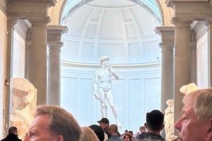 Florencia: Ticket de entrada cronometrado a la Accademia de David con APP de audio