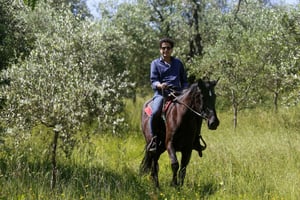 Florence: Horseback Riding & Aperitivo in the Chianti