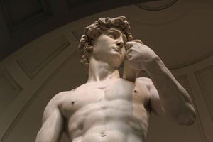 Firenze: Biglietto d'ingresso per il David di Michelangelo con biglietto salta fila