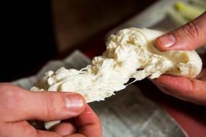 Florence: Mozzarella Making Workshop with Wine Tasting