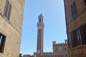 Florença: Experiência de degustação em San Gimignano e Siena