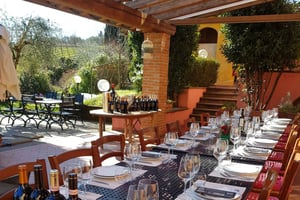 Florença: Prova de vinhos numa vinha com um produtor local